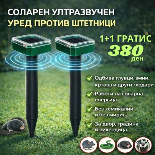 655028003_939204389038968_2602617017832779273_n